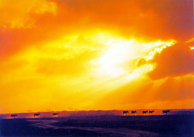 sun.jpg (14543 bytes)